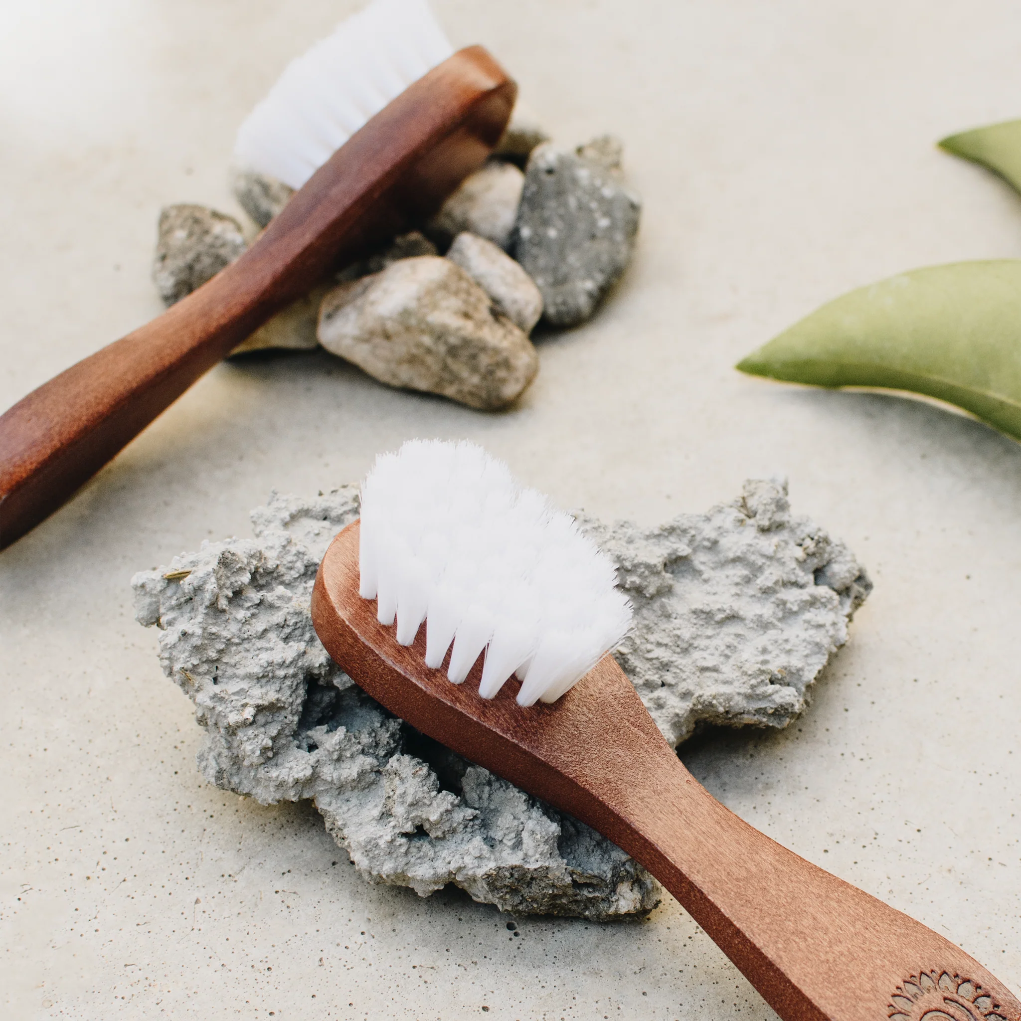 Annmarie Gianni Skin Care | Lotus Wood Exfoliating Brush