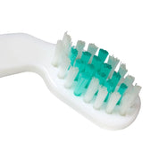 Living Libations Sonic Shine EMF-Free 45-degree angled neck and sonic vibration Toothbrush Head