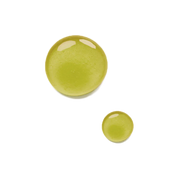 Ma+N Serum Concentrate | Elasticity | Marula + Neroli