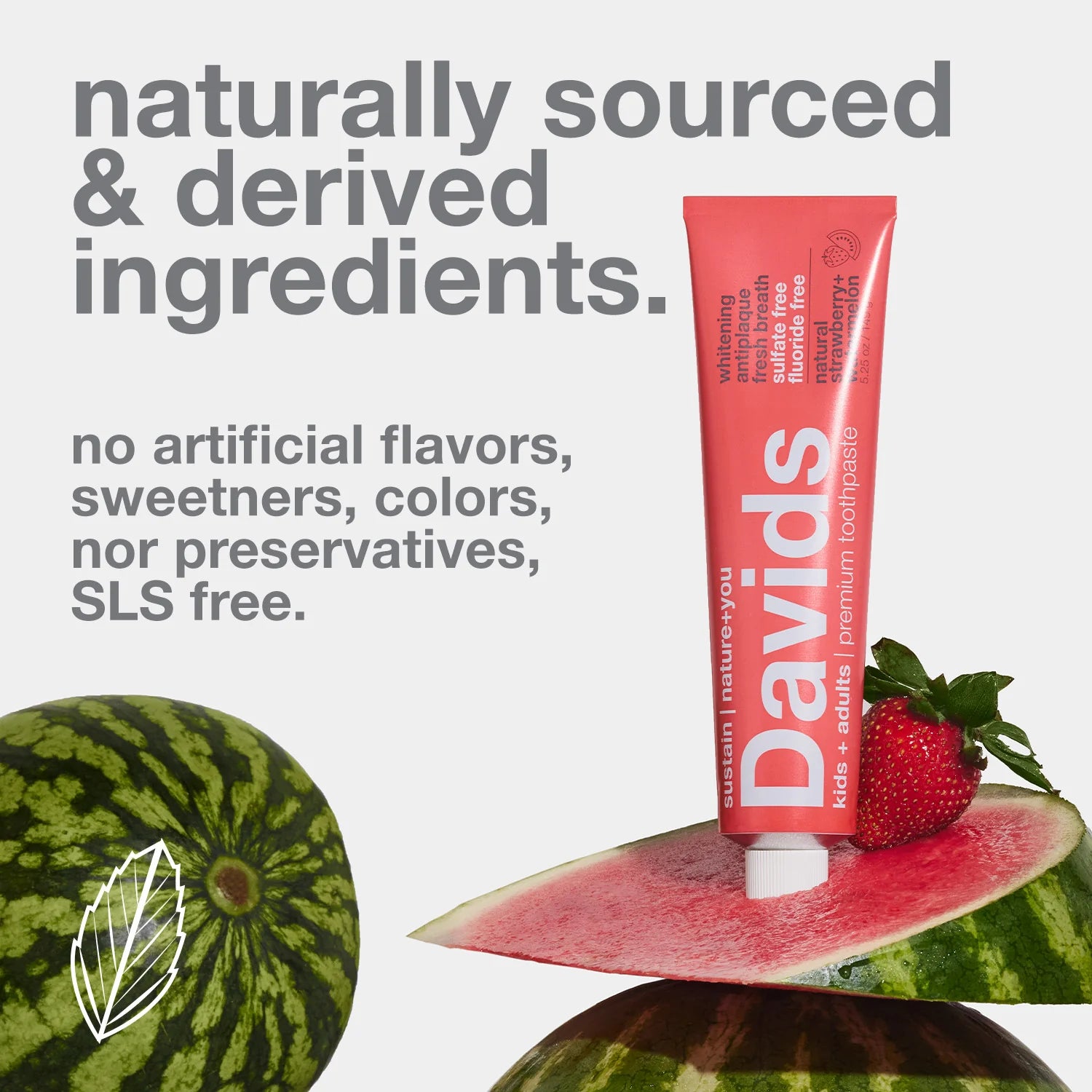 Davids | Strawberry Watermelon Premium Toothpaste | Kids + Adults