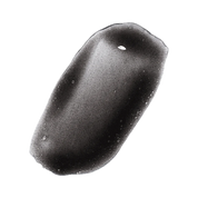 Odacité Skincare | Black Mint Clarifying Cleanser | Charcoal + Rhassoul