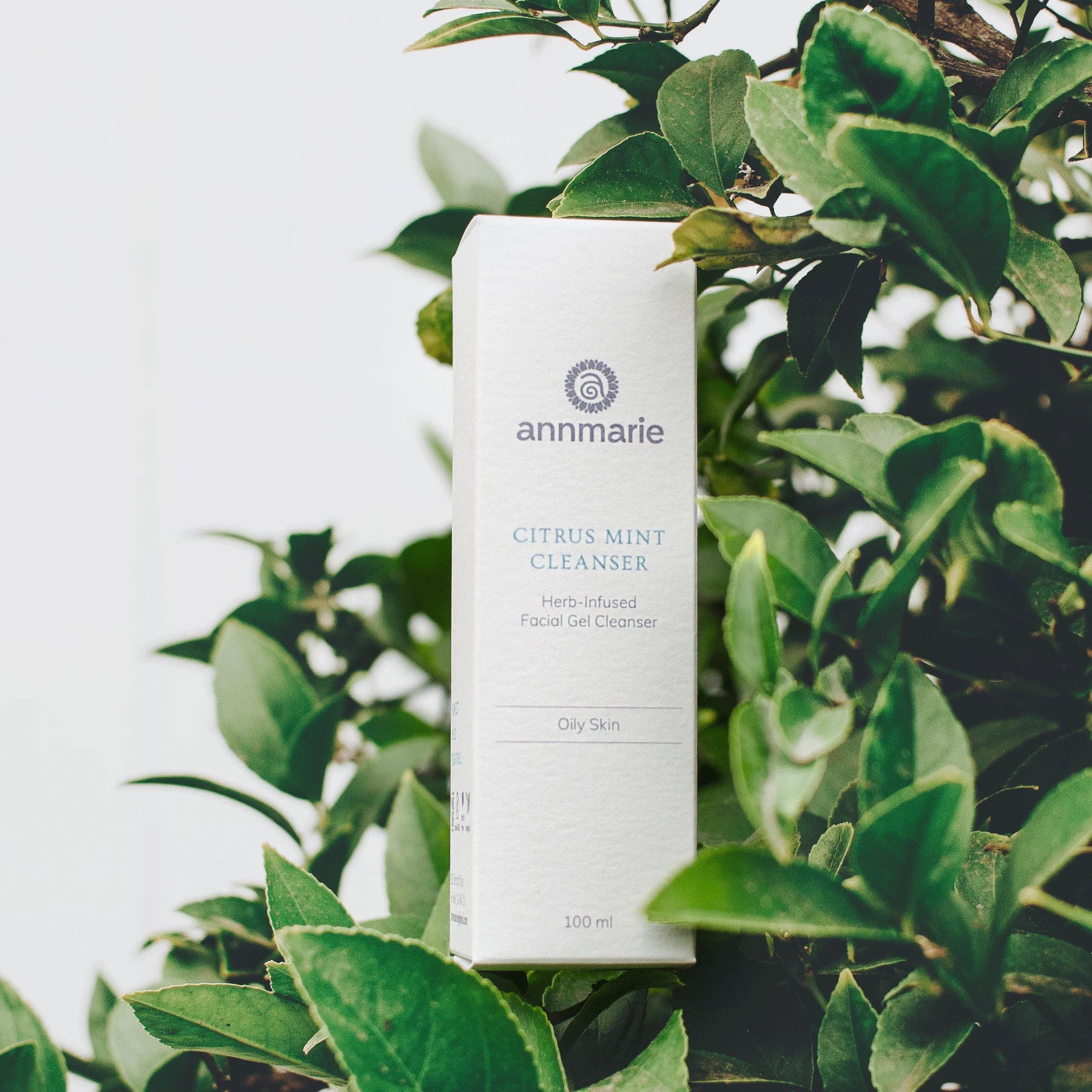 Annmarie Skincare Citrus Mint Cleanser