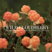 Fitglow Beauty | CLOUD BODY WASH