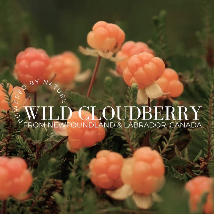 Fitglow Beauty | CLOUD BODY WASH