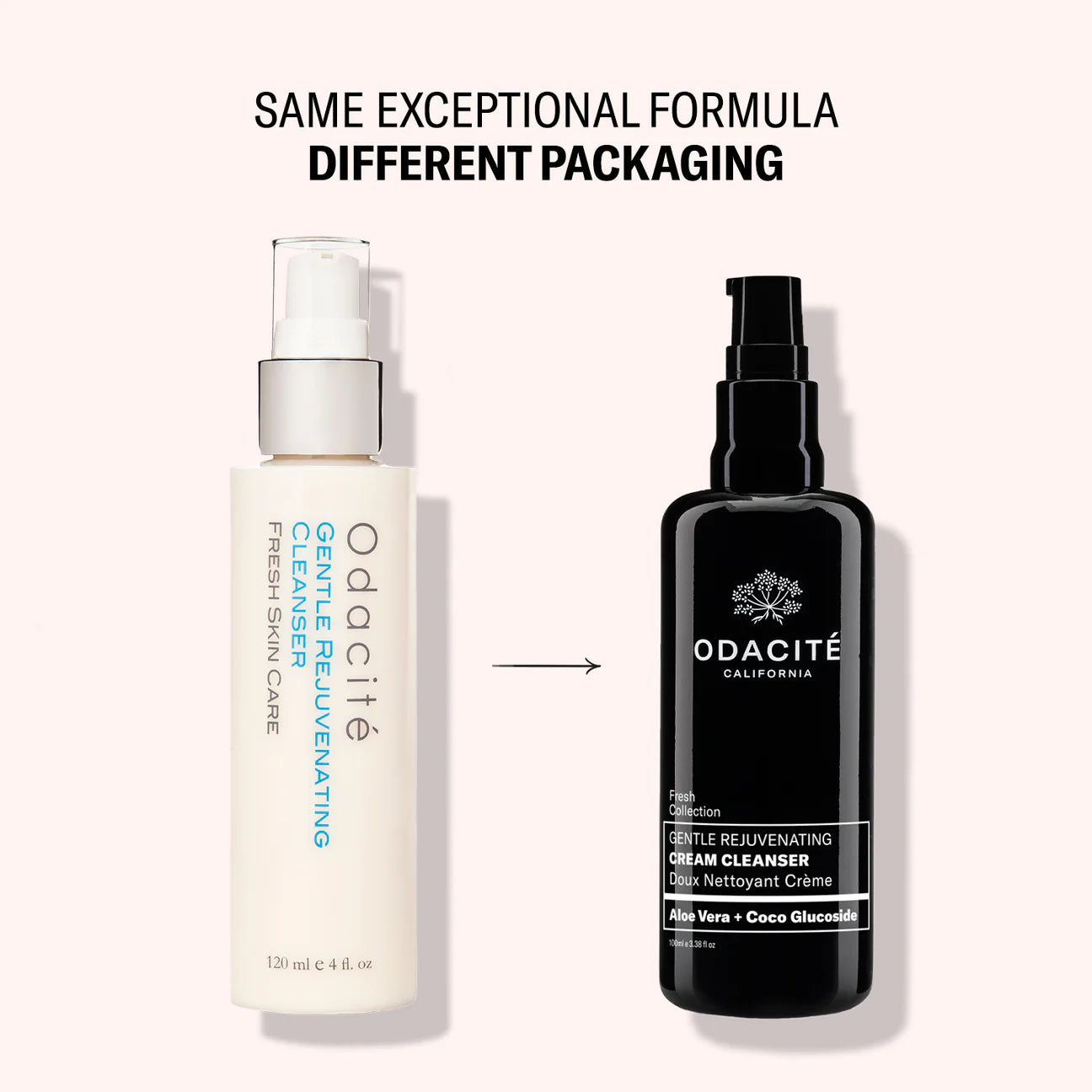 Odacité Skincare | Gentle Rejuvenating Cream Cleanser | Aloe Vera + Coco Glucoside