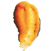 8 Days | JOY BOTANICAL BODY POLISH Grapefruit + Neroli