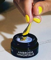 AMBROSIA IMMORTALIS The Eye Complex