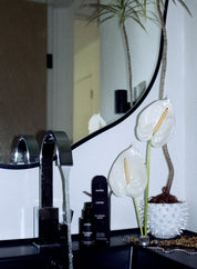 LILFOX | FLOWER GOO Botanic Ferment Stem Cell Serum