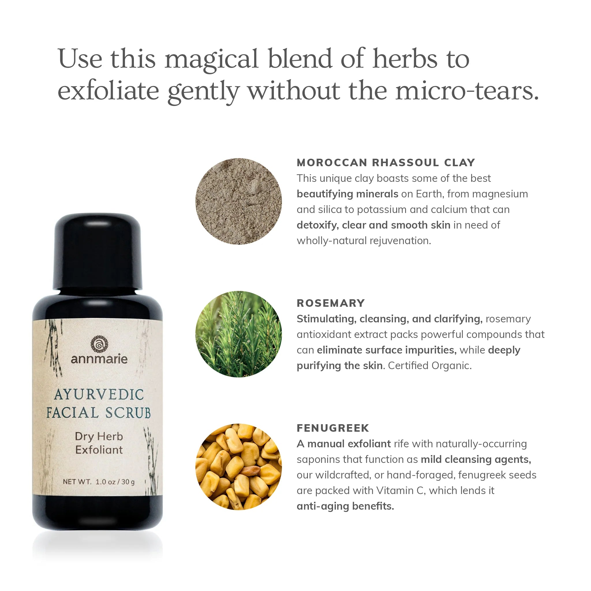 Annmarie Skin Care Ayurvedic Facial Scrub