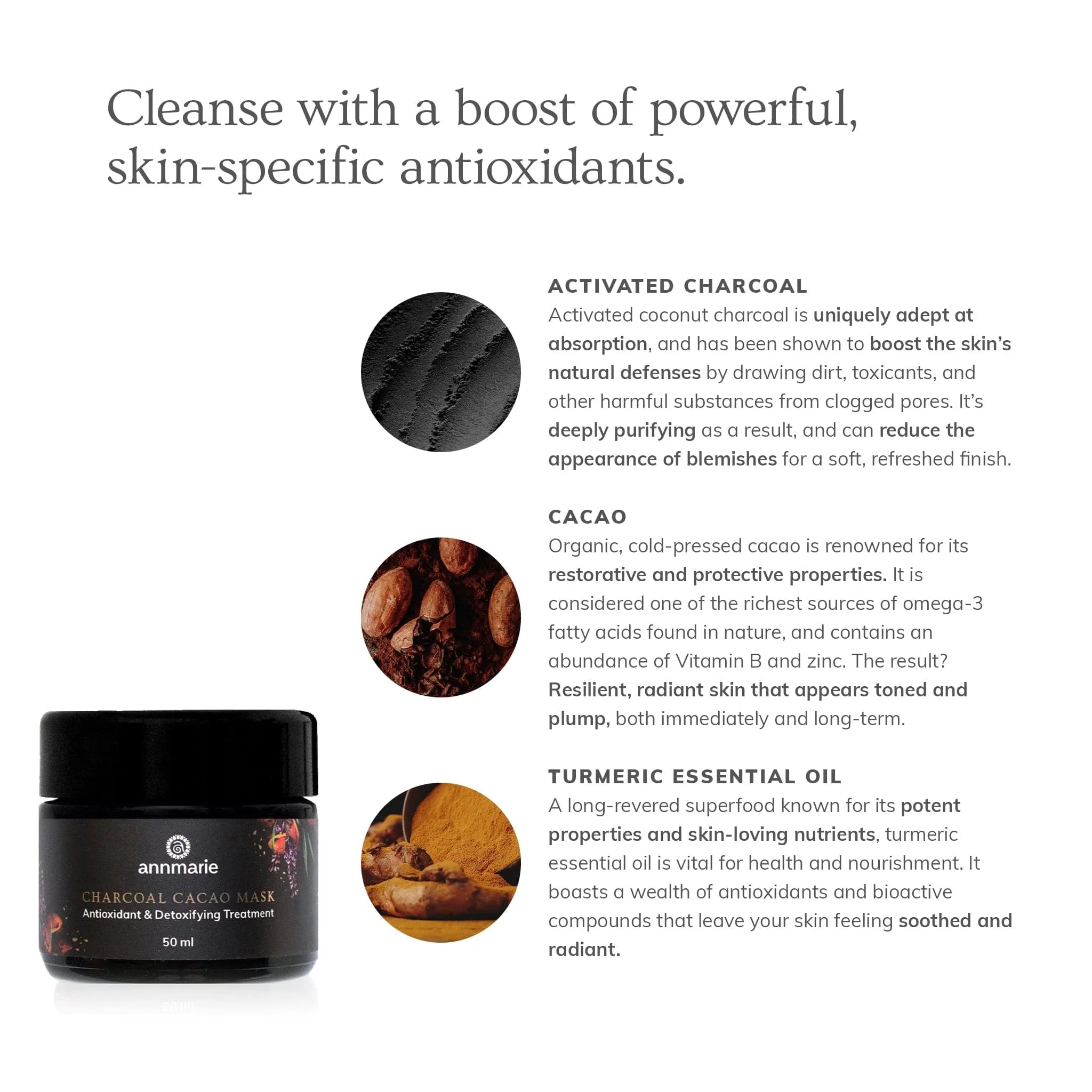 Annmarie Skin Care Charcoal Cacao Mask
