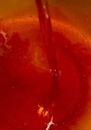 Elaa Skincare | Glazed Elixir | Radiance Oil For All