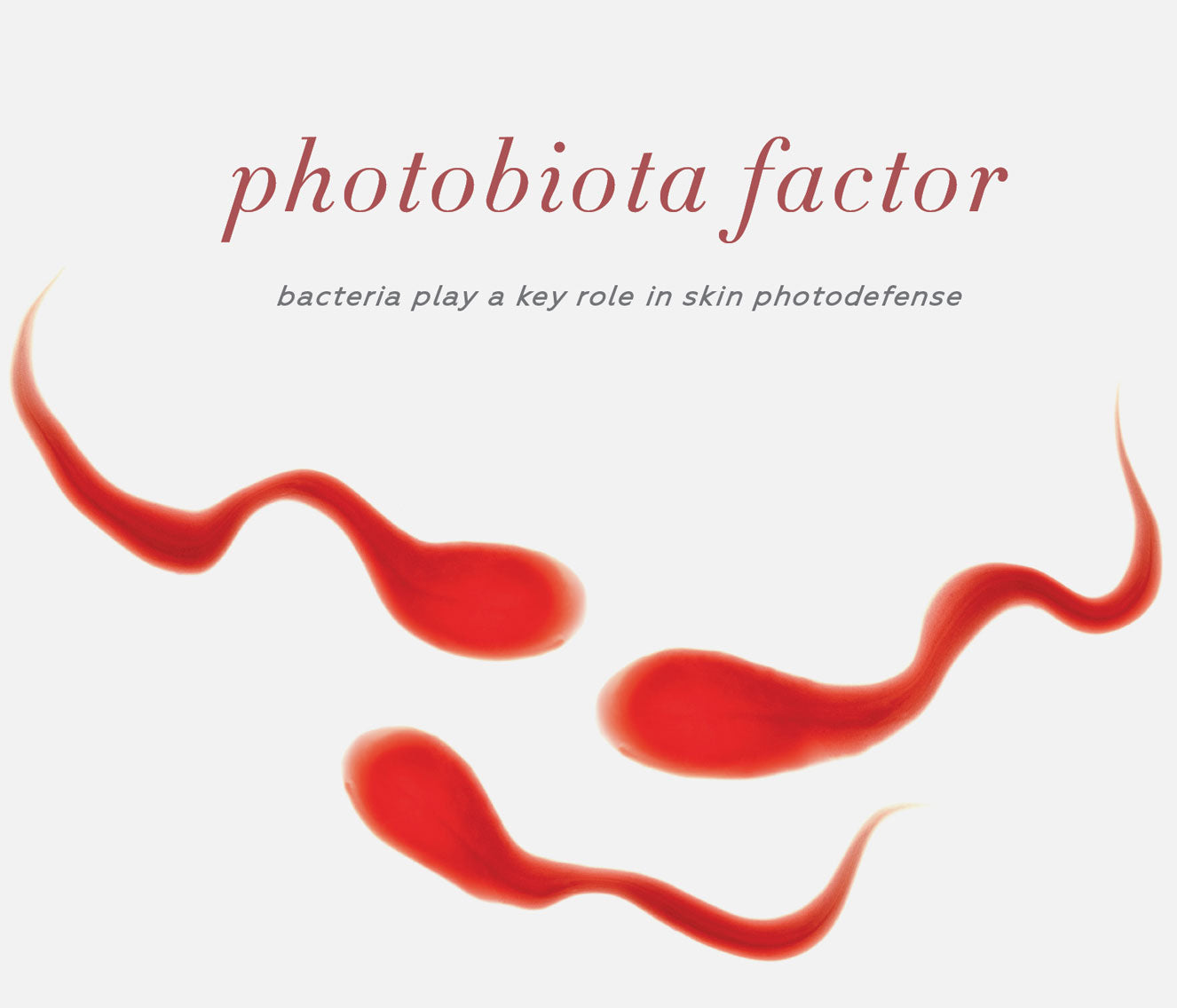 ayuna | terra clara | Brightening Microchanneling Nectar