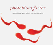 ayuna | terra clara | Brightening Microchanneling Nectar