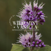 Fitglow Beauty | DEODORANT SPRAY