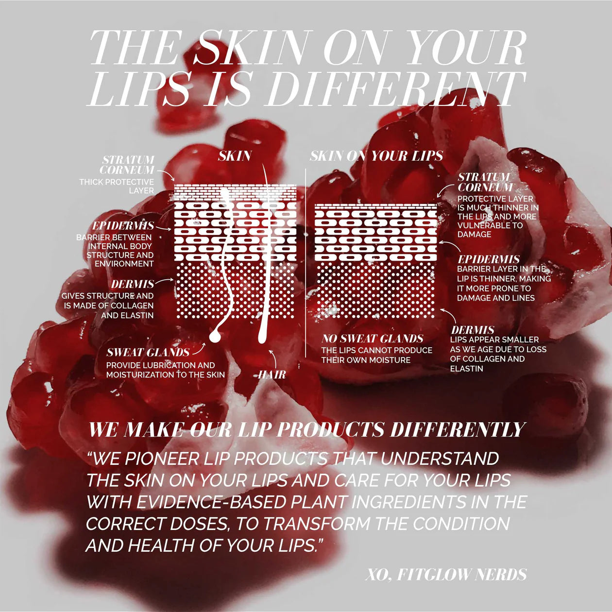 Fitglow Beauty clean makeup Lip Colour Serum Skincare for Lips