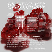 Fitglow Beauty clean makeup Lip Colour Serum Skincare for Lips