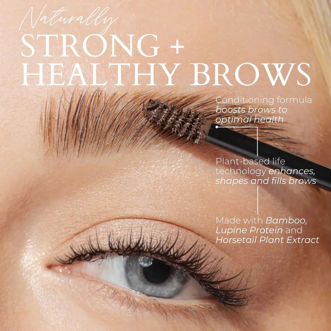 plant-protein-brow-gel_dtc-p_taupeblonde_creative-02.webp