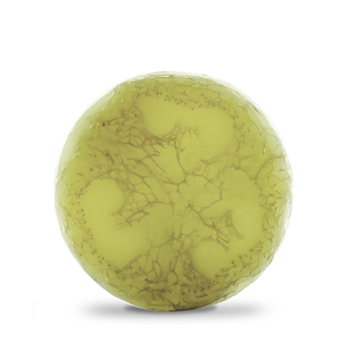 Ayuna spirulite – Multiactive Solid Mask