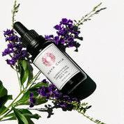 Maya Chia Supercritical Omega 3 Chia Face Oil