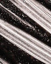 Luna Nectar OBSIDIAN – Volumizing & Anti-Pollution Scalp Scrub