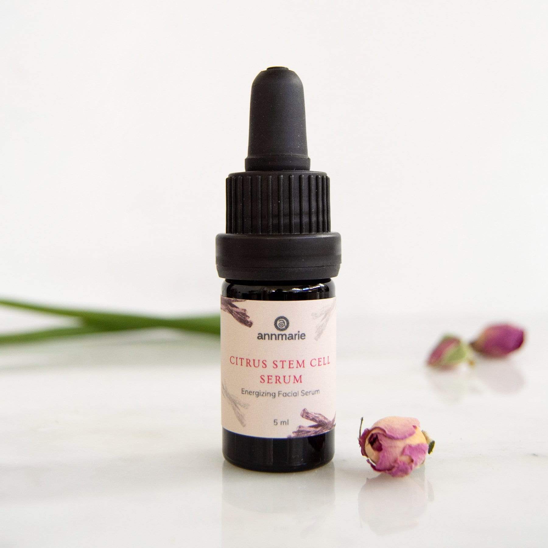 Citrus Stem Cell Serum | Annmarie Skin Care | Wildcrafted Skincare ...