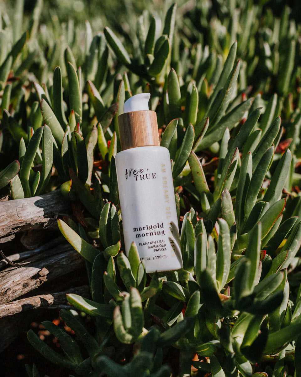 Free + True Skincare | MARIGOLD MORNING AM Creamy Gel Cleanser