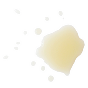 Serene – Sacred Waters Tonique