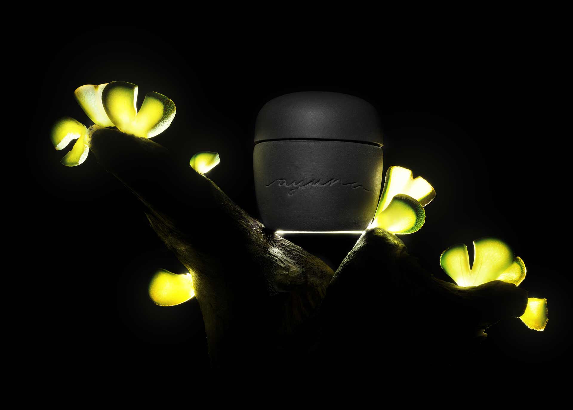 AYUNA terra viva Vivifying Skin-D Nectar