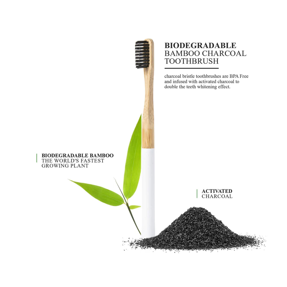 Terra & Co. | Brilliant Black Natural Charcoal Toothpaste + Bamboo Toothbrush Set