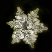 ViA Crystal Water Bottle | DIAMONDS