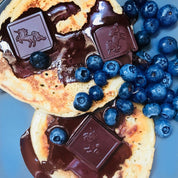 Addictive Wellness Immunity Raw Chocolate