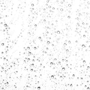 LILFOX | APHRODITE Pure Rosewater Toning Mist