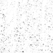 LILFOX MYSTIC AWAKENING Rosemary Toning Mist