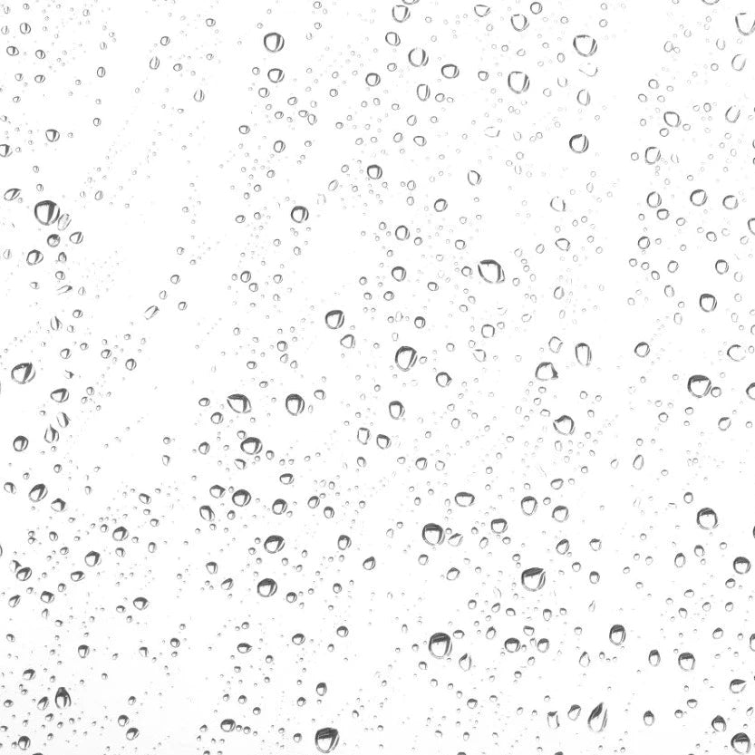 LILFOX MYSTIC AWAKENING Rosemary Toning Mist