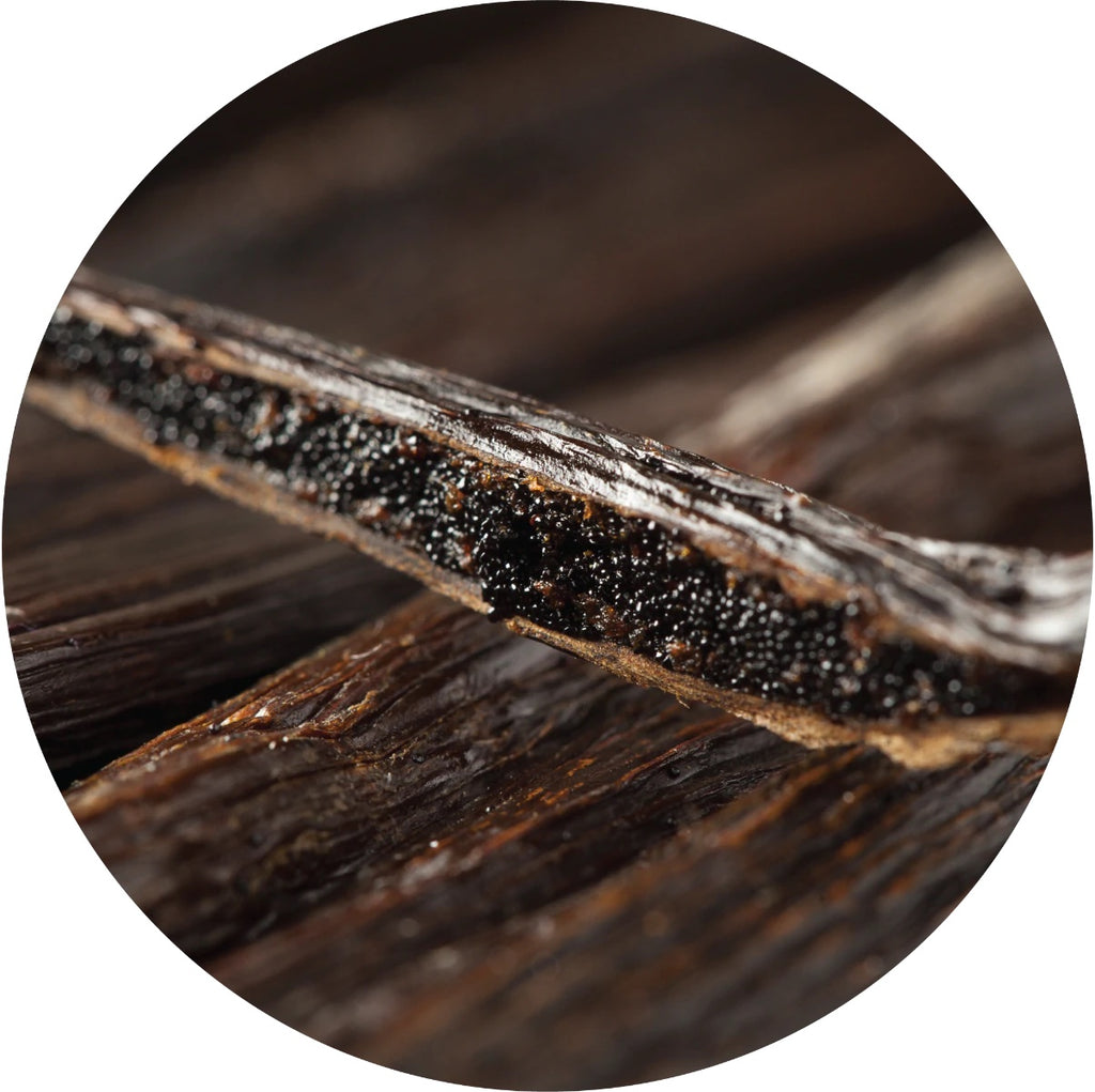 Living Libations Organic Vanilla Essential Oil