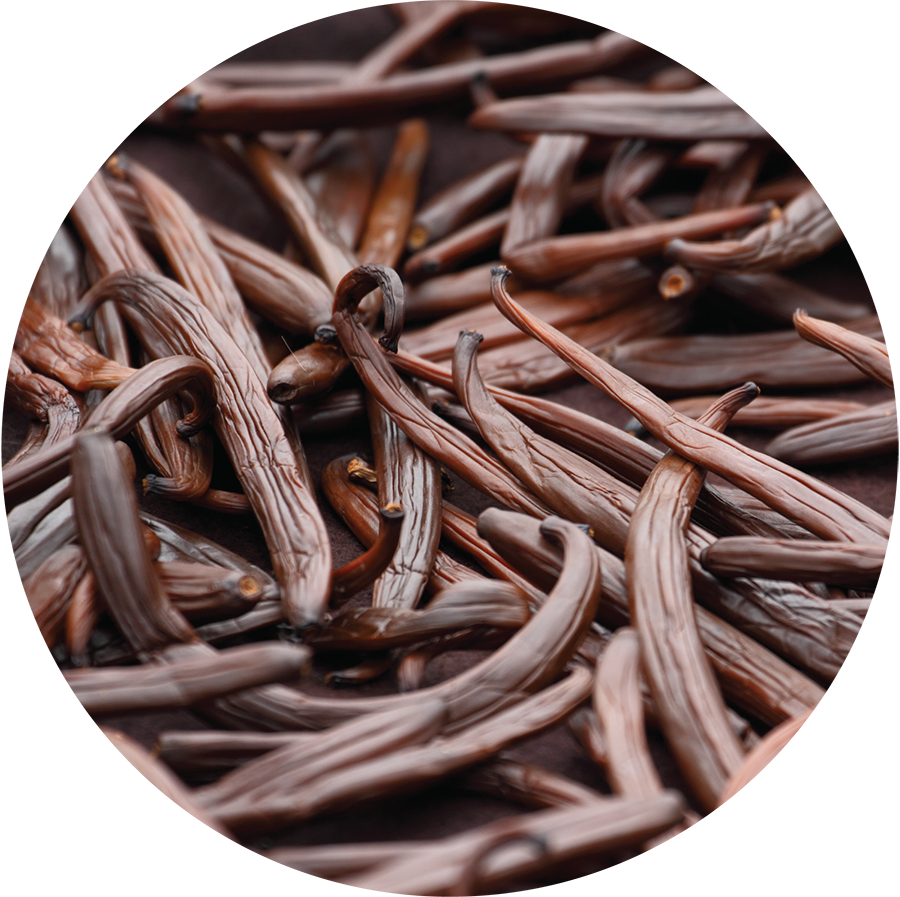 Vanilla Fusion Carrier Oil